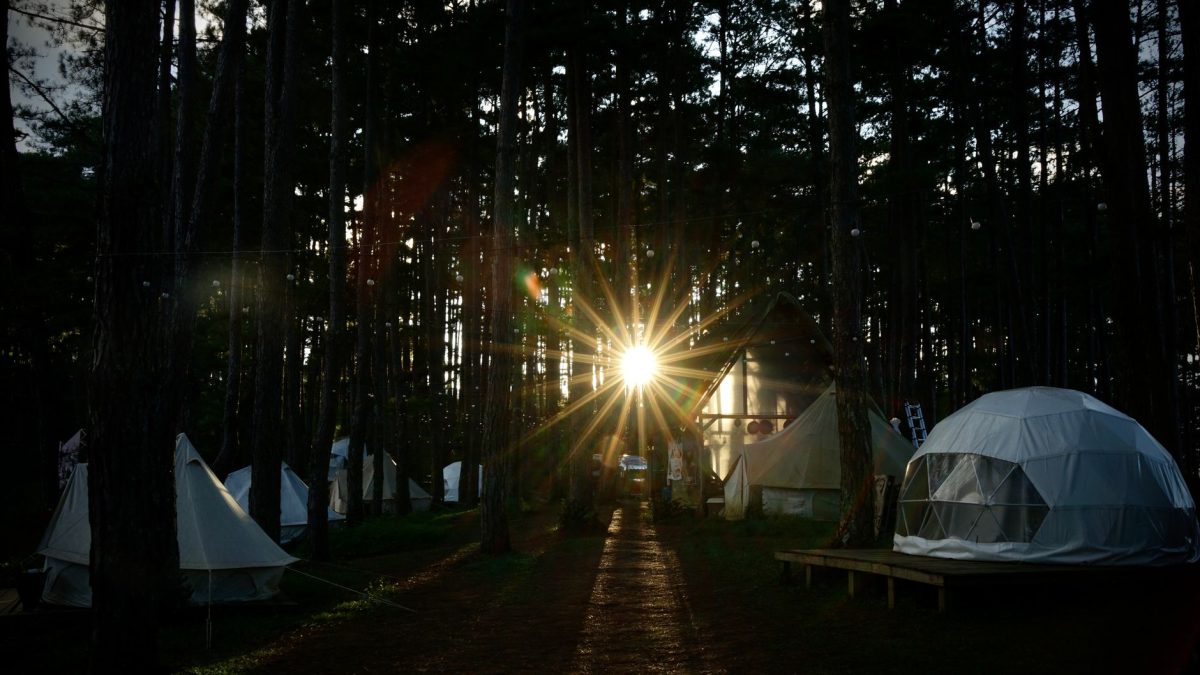 Glamping – czy to opłacalna inwestycja i ile kosztuje start?